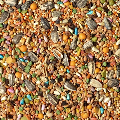 Universal Blend Fortified Nutrition Bird Seed for Medium & Large Birds - 10lb