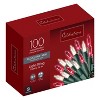 Celebrations Incandescent Mini Red and Clear 100 ct String Christmas Lights 20 ft. - 3 of 3