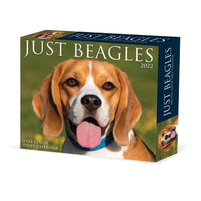 2022 Box Calendar Just Beagles - Willow Creek Press