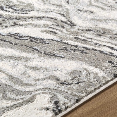 Hauteloom Brandi Gray Marble Area Rug