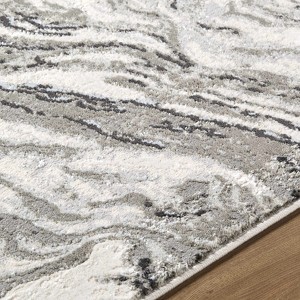 Hauteloom Brandi Gray Marble Area Rug - 1 of 4