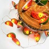 Perfect Holiday 10 LED Battery Operated String Light with Watermelon - Warm White - 3 of 4