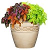 Set of 2 Corinthian Planters - Classic Home and Garden - 2 of 4