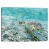 Masterpiece Art Gallery 18"x24" Sea Turtle Tranquility Wall Art - 2 of 4