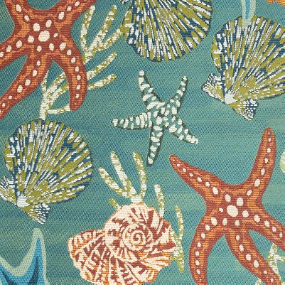 starfish song aqua