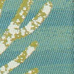 starfish song aqua