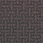 new england revolution