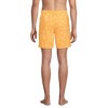 Lands' End Men's 7 Inch Volley Hydroliner Swim Trunks - 2 of 4