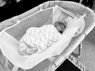 Halo bassinest infant insert target sales