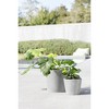 Ecopots Amsterdam Wheels Durable Modern Round Indoor/Outdoor Recycled-Based Composite Flower Pot Planter - 4 of 4