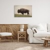 Stupell Industries Serene Buffalo on Country Hill Canvas Art - 3 of 4