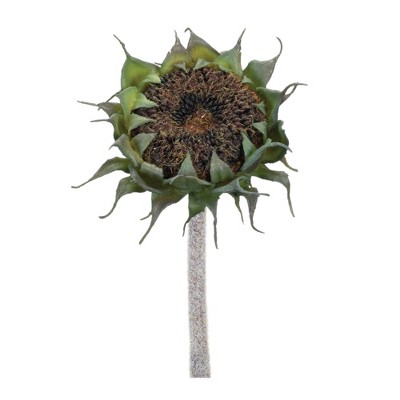 Melrose Brown Sunflower Stem (Set of 6)