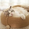 Boersma Large Sisal Cat Scratching Bed – One-Piece Durable Cat Basin with Toy Ball, Wear-Resistant Concave Design for Scratching & Sleeping - 2 of 4