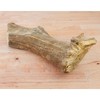 Chasing Our Tails Moose Antler Button for Dogs 1 Count - 2 of 3