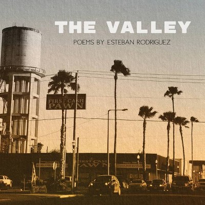 The Valley - by  Esteban Rodriguez (Paperback)