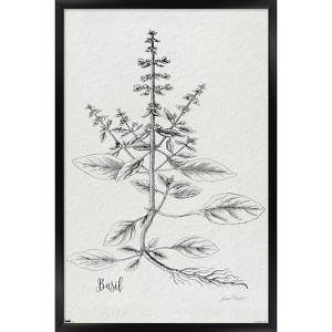 Trends International Jean Plout - Botanical Studies on Paper Basil Framed Wall Poster Prints - 1 of 4