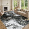 Large Modern Rugs for Living Room 9x12 Non-Slip Abstract Print Floor Mats, Stain-Resistant Low Pile Accent Rugs, Foldable Ultra-Thin Indoor Carpet - 2 of 4