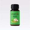 Umamiso Mi-Salt | Plant-Based Japanese Seasoning with Miso, Garlic & Herbs | Gourmet Flavor with Sweetness, Rich Aroma & Savory Texture - 2 of 4