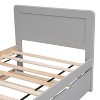 Contemporary Single-Size Platform Bed Frame with 2 Drawers in Whitewashed Finish - 3 of 4