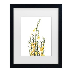 Trademark Fine Art - Rosana Laiz Blursbyai Yellow blooms Matted Framed Art - 1 of 4