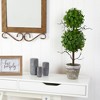 Nearly Natural 2-ft Eucalyptus Double Ball Topiary Artificial Tree - 3 of 4