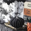 Whisen Fabric Stripe Pumpkin Decor, Holiday Halloween Decoration - Black & White - 2 of 4