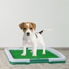 Pet Adobe Artificial Grass Pee Pad Set for Dogs - image 2 of 4