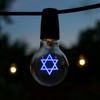 Novelty Lights LED Decorative Filament Light Bulb, G80 Globe, Medium E26 Base, Indoor/Outdoor Holiday String Light Replacement - 1 Pack - 3 of 4