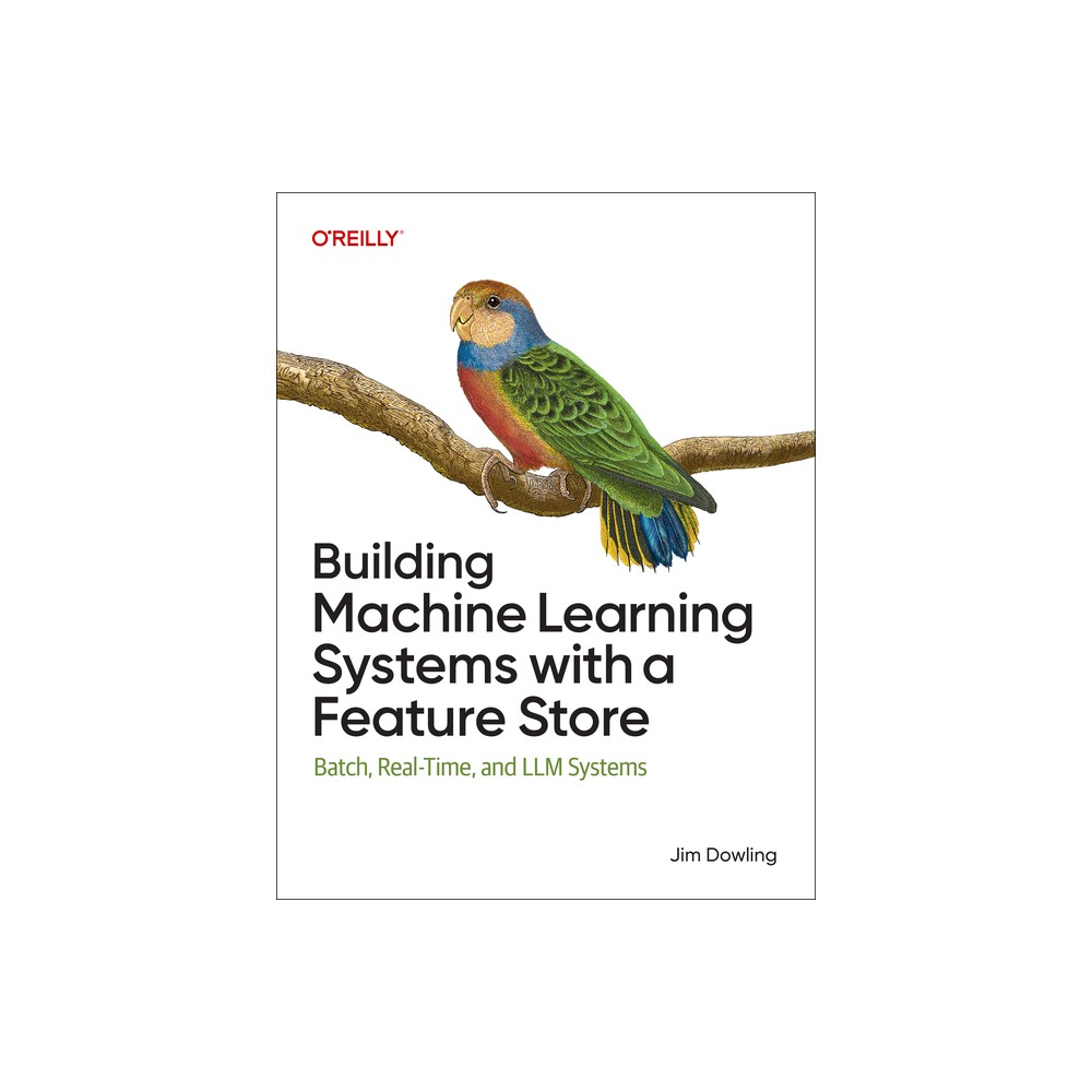 Building Machine Learning Systems with a Feature Store - by Jim Dowling (Paperback)
