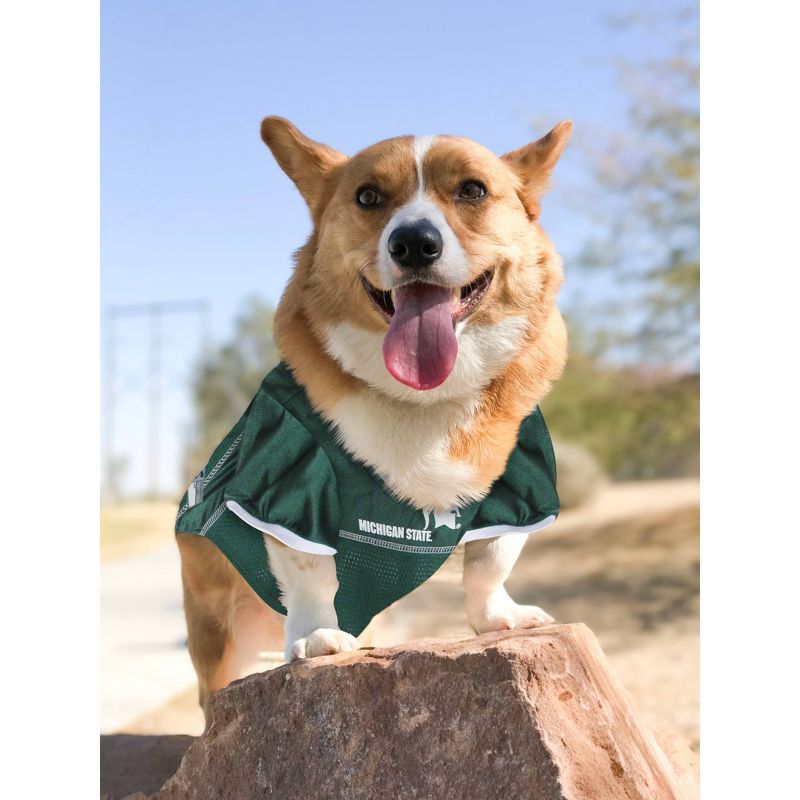 NCAA Michigan State Spartans Pets Mesh Jersey, 4 of 5
