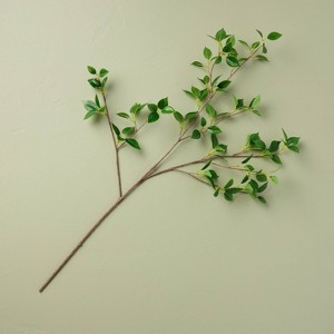 Banyan Leaf Artificial Stem Green - Hearth & Hand™ with Magnolia - 1 of 3
