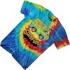 Boys Scooby Doo Throwback Shirt - Scooby Doo, Shaggy, Velma Tee - Tie Dye T-Shirt (Tie Dye Swirl, Small) - 3 of 4