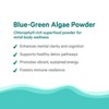 Pure Synergy Organic Blue-Green Algae Powder – Chlorophyll & Brain Energy Superfood Supplement – 3.2 oz - 4 of 4
