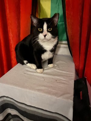 Guest review image 2 of 4, zoom in