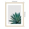 Amanti Art Agave Cactus by Orara Studio Wood Framed Wall Art Print - 3 of 4