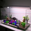 Unique Bargains Aquarium Plastic Plants Tree for Goldfish Tank Landscape Decoration 1.97" 20 Pcs - 2 of 4
