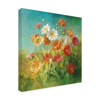 Trademark Fine Art -Danhui Nai 'Painted Daisies' Canvas Art