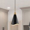 Nuvo Lighting Tango 1 - Light Pendant in  Matte Black/Burnished Brass - 3 of 4