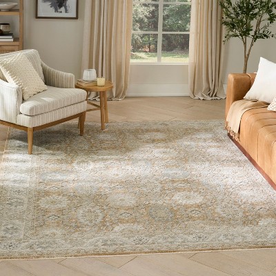 Nourison Home Enriched Vintage Indoor Area Rug