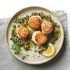 Wild Caught Frozen Scallops - 16oz - Good & Gather™ - 3 of 4