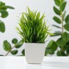 Unique Bargains Artificial Plants Spring Grass Arrangement Plastic 2.76"x2.76"x7.09" 1 Pc - 2 of 4