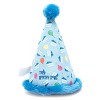 The Worthy Dog Birthday Hat Tough Dog Toy - 3 of 3