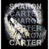 Men's Marvel The Falcon and the Winter Soldier Sharon Carter Drawing T-Shirt - 2 of 4