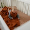 Parker Baby Co. Swaddle Blankets - 2 of 4