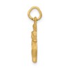 Black Bow Jewelry 14k Yellow Gold Gemini the Twins Zodiac Satin and Diamond Cut Charm - 2 of 4