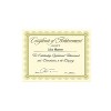 Southworth Premium Certificates Ivory Spiro Gold Foil Border 66 lb 8.5 x 11 15/Pack CTP2V - 3 of 3