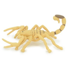 Collectible Wildlife Gifts | Scorpion, Desert Arachnid, Deathstalker, Hand Painted, Rubber, Realistic Figure,  Model, Gift,         2 "   SF26 B45 - 1 of 4