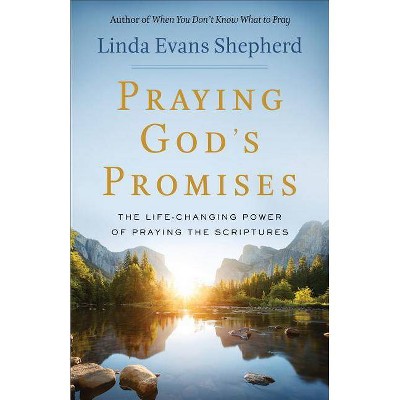 Praying God's Promises - by  Linda Evans Shepherd (Paperback)