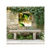 Cottage Garden West of The Wind Butterfly KISS Green, Yellow, Black 24 x 24 Inch Waterproof Gallery Wrapped Canvas, Outdoor Garden, Yard, Patio All - 2 of 2