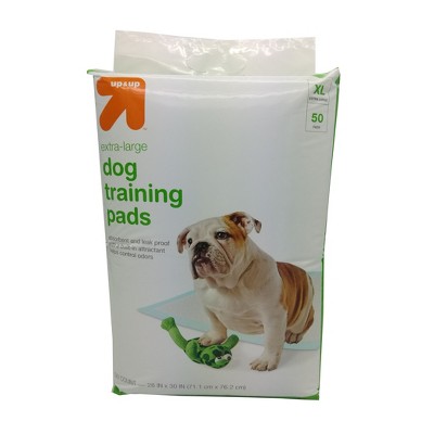 how to train an older dog to use a puppy pad